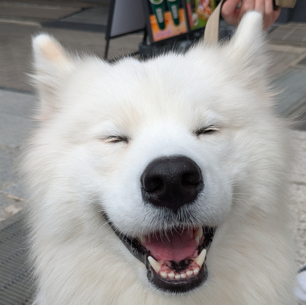 Meet your Posher, jellijules